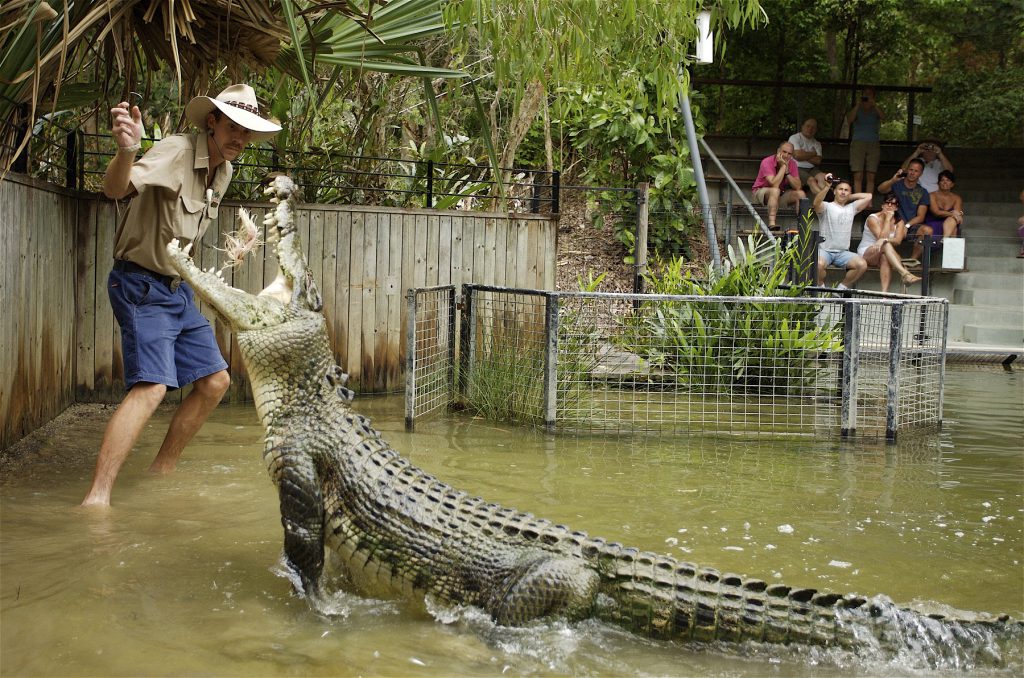 Cairns Cruise Ship tours - Down Under Tours | Down Under Tours